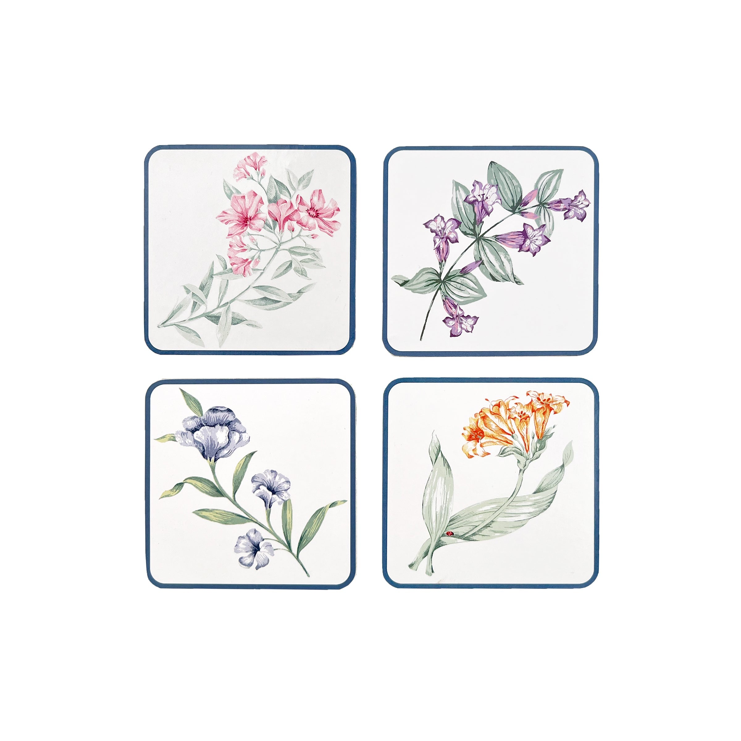 Butterfly Meadow Corkback Coasters   Set Of 4