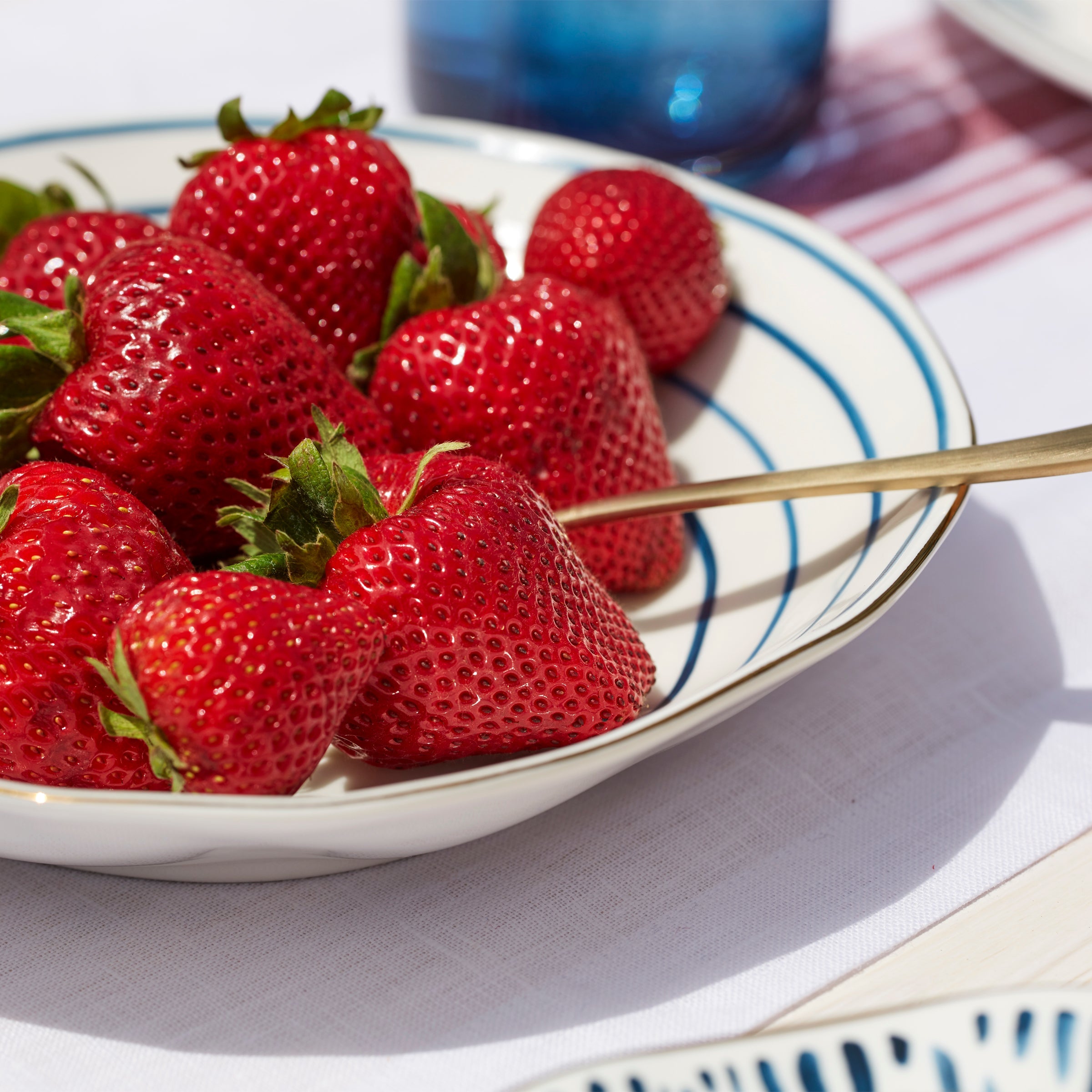 Alternative view of Blue Bay Pasta Bowls   Set of 4