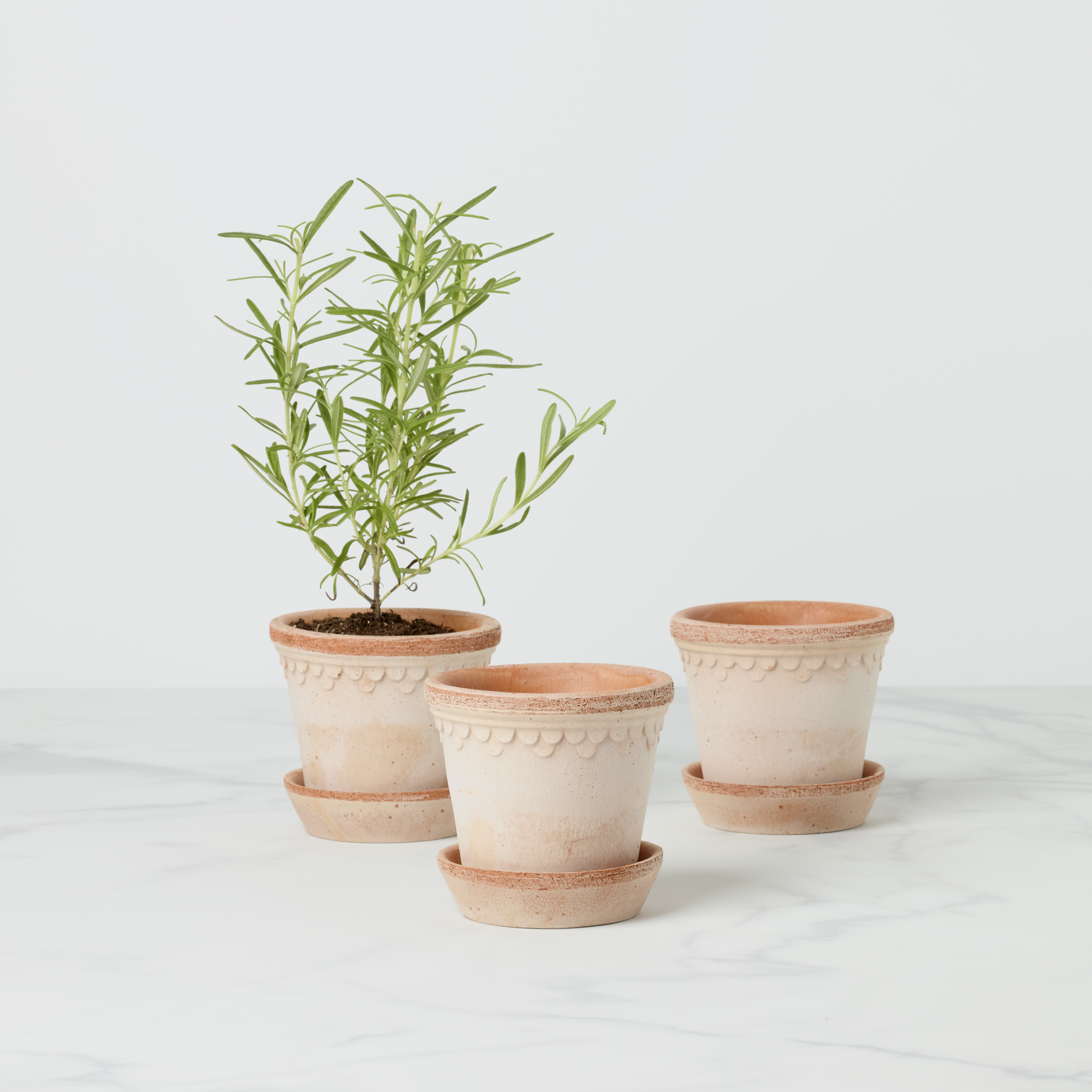 Kobenhavner Raw Rosa Terracotta Pots, Set of 3 - Image 3