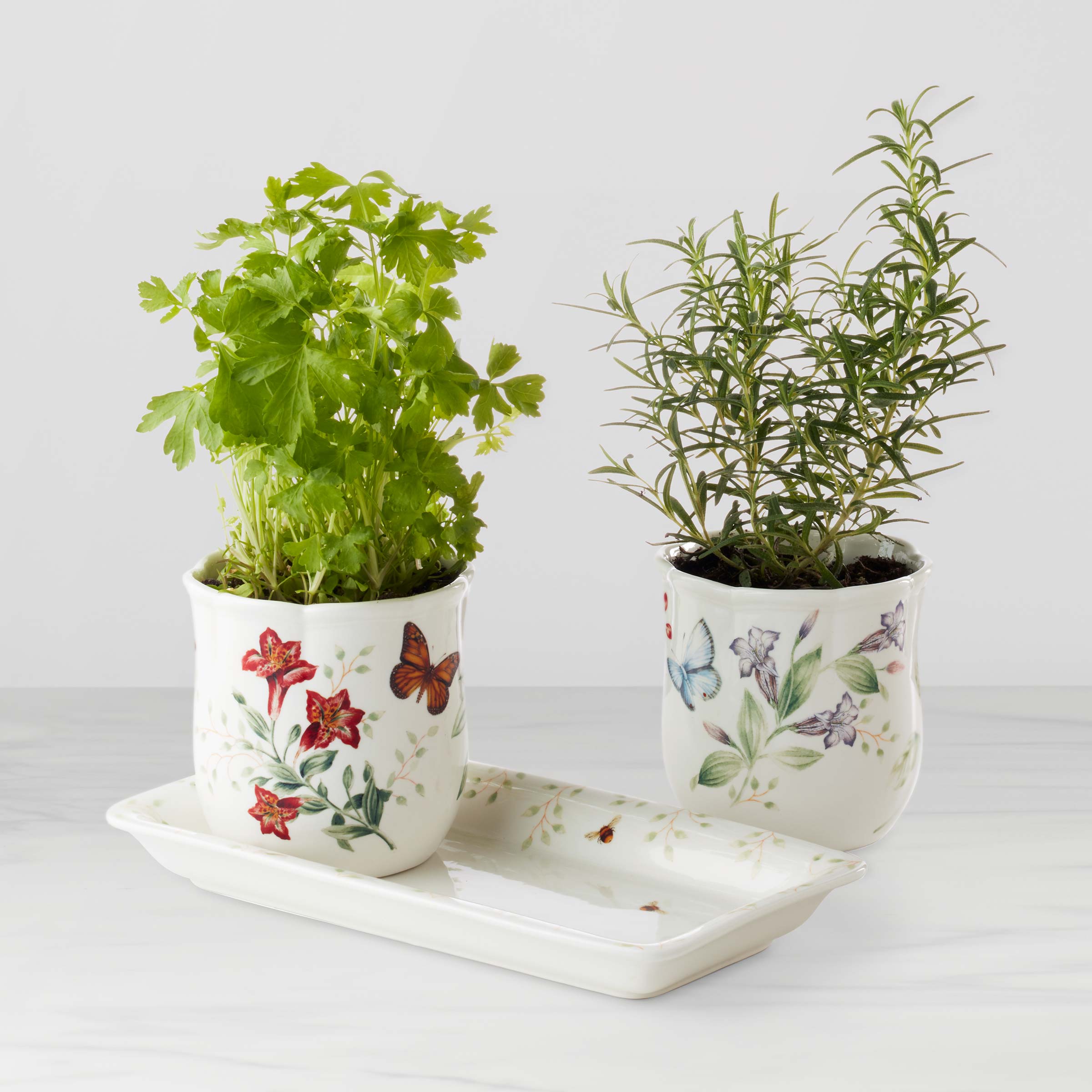 Butterfly Meadow 3 Piece Herb Pots & Tray Set